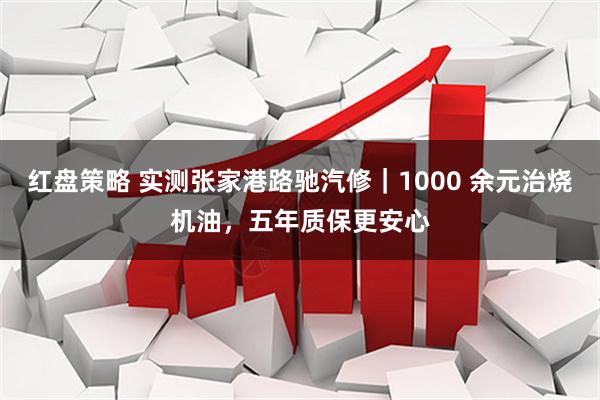 红盘策略 实测张家港路驰汽修｜1000 余元治烧机油，五年质保更安心
