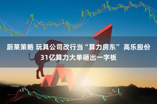 蔚莱策略 玩具公司改行当“算力房东” 高乐股份31亿算力大单砸出一字板